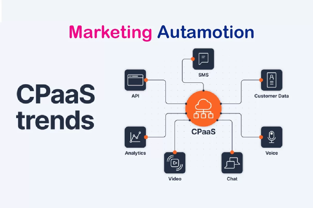 What is marketing automation and why does a modern business need it?